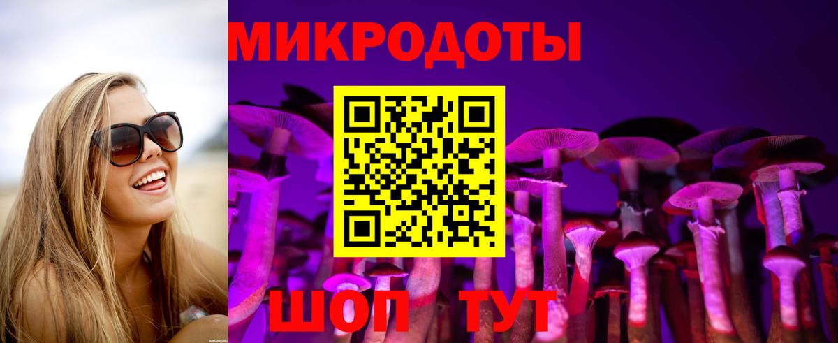 Псилоцибиновые грибы Psilocybine cubensis Горячий Ключ